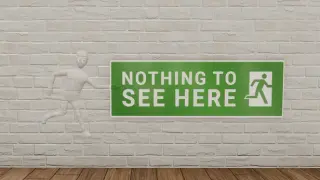 Nothing to See Here