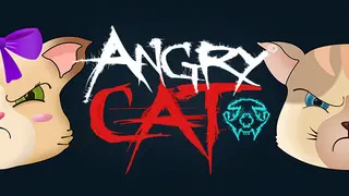 Angry Cat