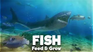 Feed and Grow: Fish