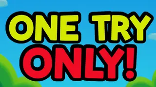 One Try Only!