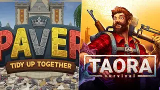 Paver Tidy Up Together - Taora Survival