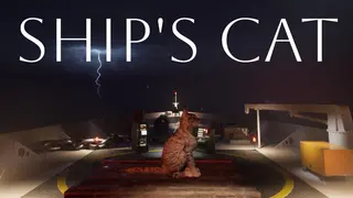 Ship's Cat