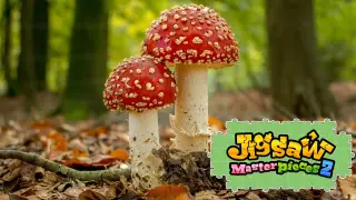 Tiny Forest Mushrooms - Switch