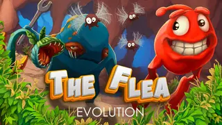 The Flea Evolution: Bugaboo