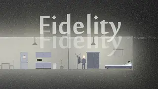 Fidelity