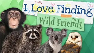 I Love Finding Wild Friends