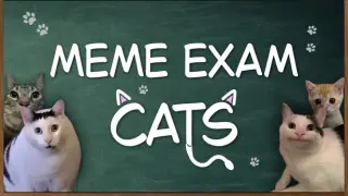 Meme Exam: Cats