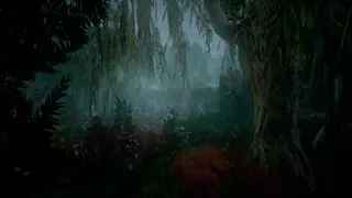 Nephise: Ascension - Xbox One & Series