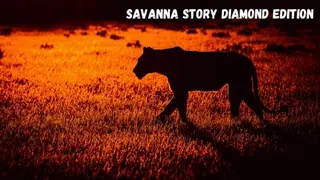 Savanna Story Diamond