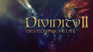 Divinity 2: Developer's Cut