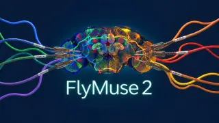 FlyMuse 2
