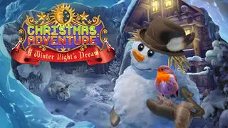 Christmas Adventures: A Winter Night's Dream