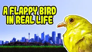 A Flappy Bird in Real Life