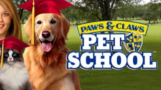 Paws and Claws: Pet School