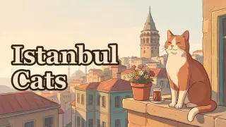Istanbul Cats