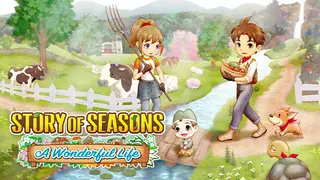 STORY OF SEASONS: A Wonderful Life