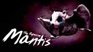 The Repairing Mantis