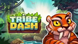 Tribe Dash - Beginner's Pack