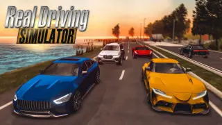 Real Driving Simulator - Switch