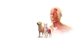 Anatomy VR Bundle - PS5