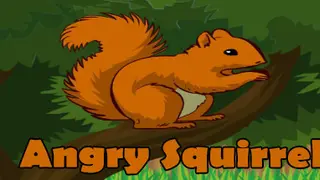 Angry Squirrel