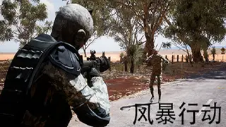 风暴行动