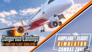 Airplane Flight Simulator Bundle: Combat Zone & Dangerous Landings - Switch