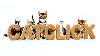 CatClick