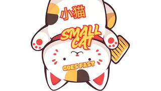 Small Cat Goes Fast