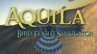 Aquila Bird Flight Simulator