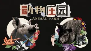 动物庄园 Animal Farm