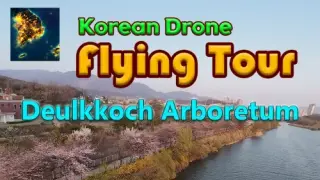 Korean Drone Flying Tour Deulkkoch Arboretum - Switch
