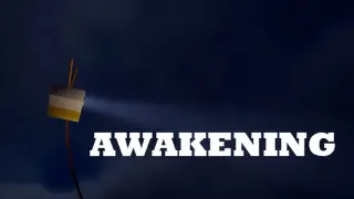 AWAKENING