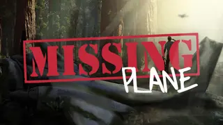 Missing Plane: Survival