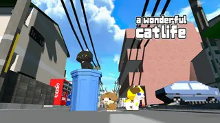 A Wonderful Cat Life