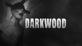 Darkwood