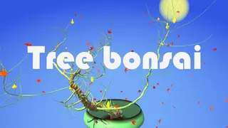 Tree Bonsai