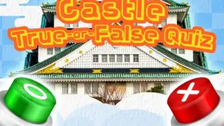 Is it True? Castle True-or-False Quiz - Switch