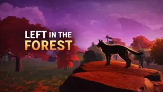 Left In The Forest