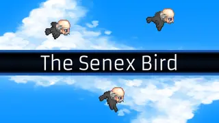 The Senex Bird