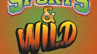 Sports & Wild Pinball - Switch