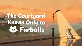 The Courtyard Known Only to Furballs