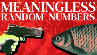 Meaningless Random Numbers