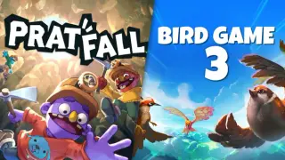 Pratfall x Bird Game 3