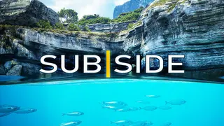 Subside