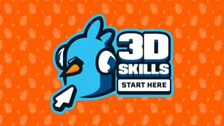 3D Skills Start Here