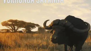 theHunter: Call of the Wild - Vurhonga Savanna - PS4