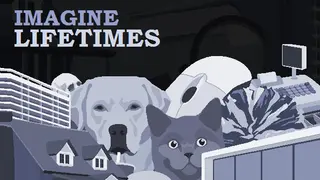 Imagine Lifetimes