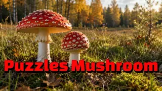 Puzzles Mushroom