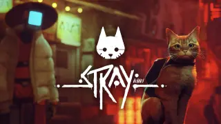 Stray - Switch 2